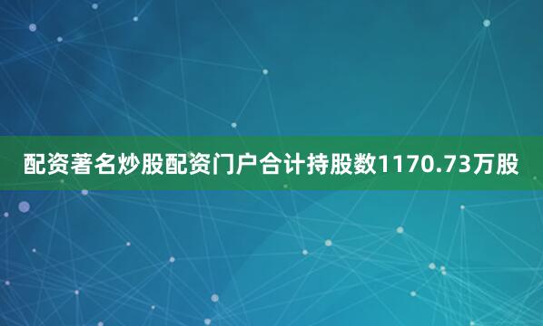 配资著名炒股配资门户合计持股数1170.73万股