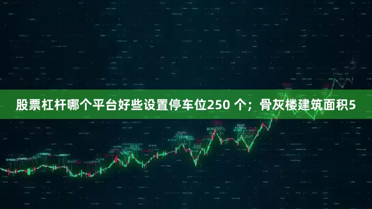 股票杠杆哪个平台好些设置停车位250 个；骨灰楼建筑面积5