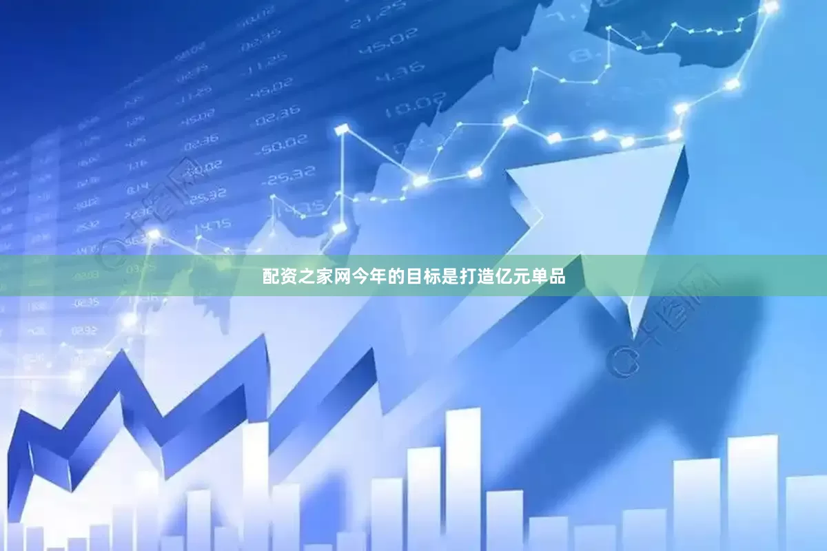 配资之家网今年的目标是打造亿元单品